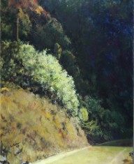 Camí de la Mola